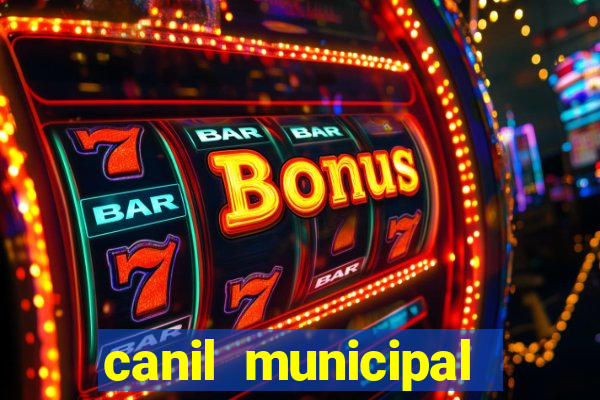 canil municipal porto alegre